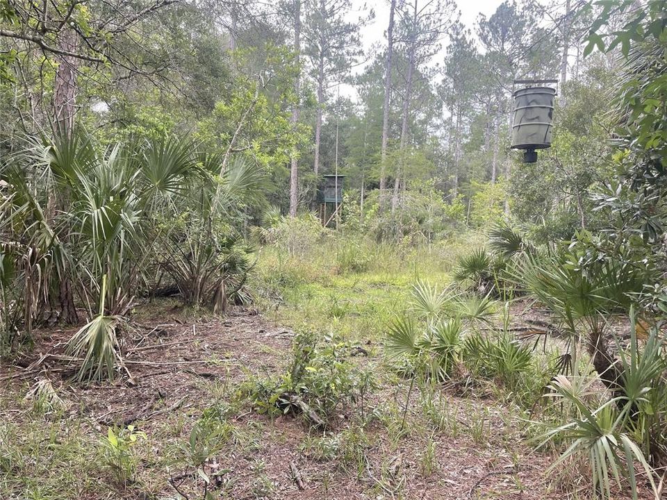 For Sale: $595,000 (79.12 acres)