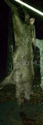 For Sale: $595,000 (79.12 acres)