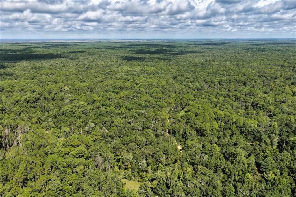 For Sale: $595,000 (79.12 acres)