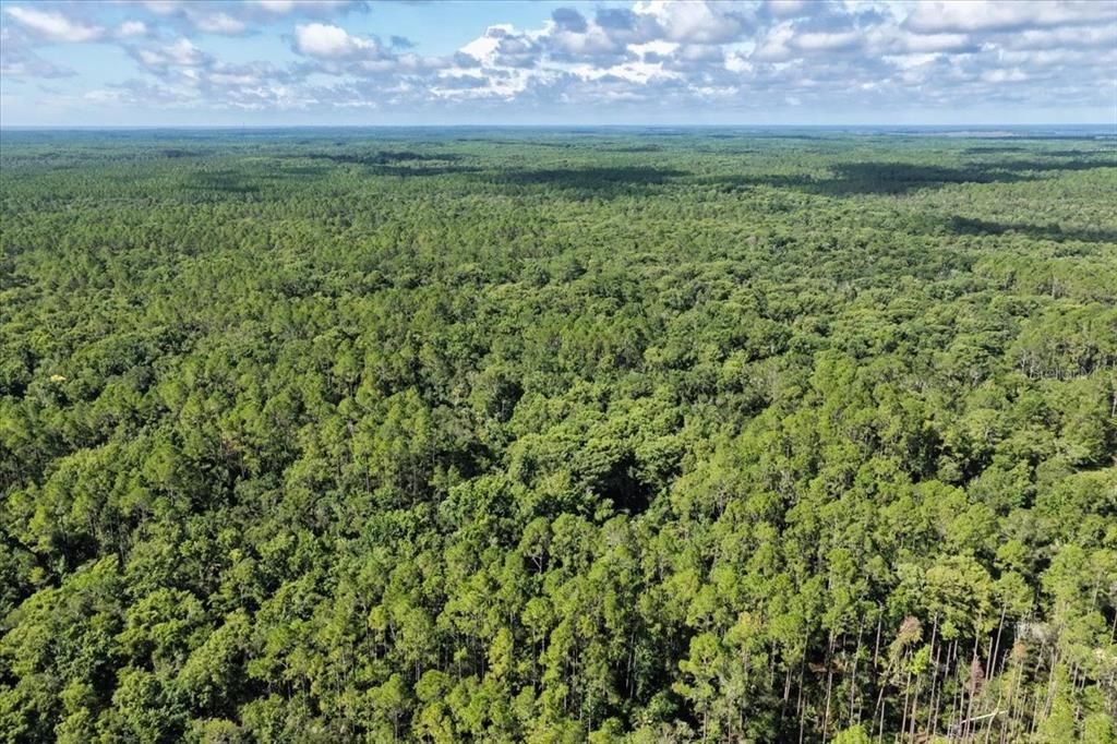 For Sale: $595,000 (79.12 acres)