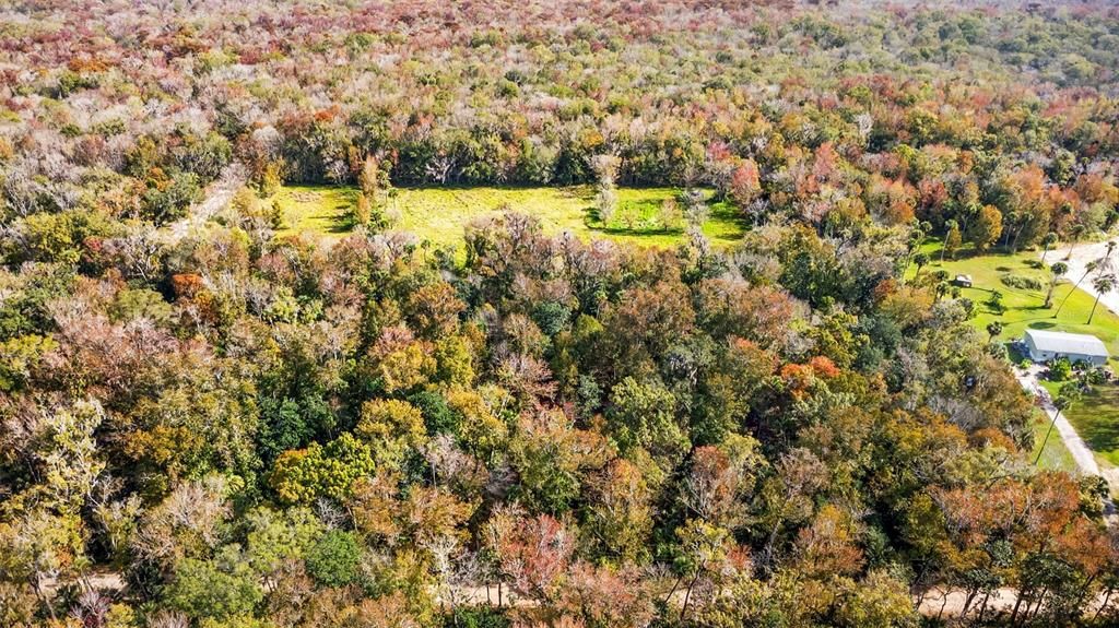 For Sale: $200,000 (5.00 acres)