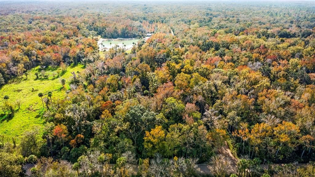 For Sale: $200,000 (5.00 acres)