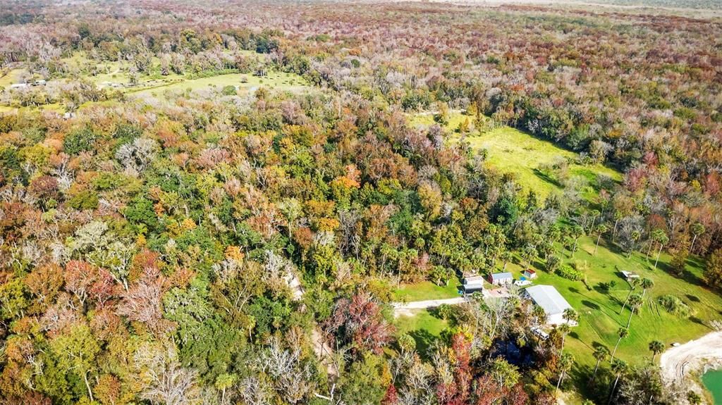 For Sale: $200,000 (5.00 acres)