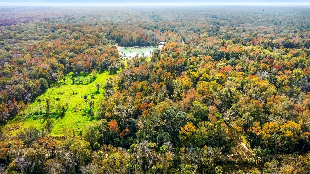 For Sale: $200,000 (5.00 acres)