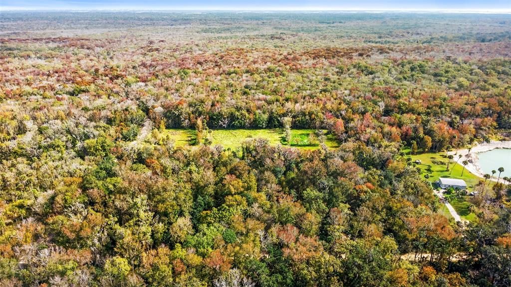 For Sale: $200,000 (5.00 acres)