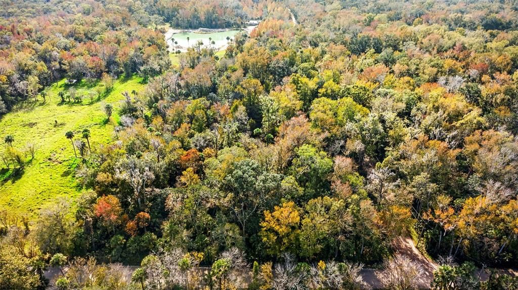 For Sale: $200,000 (5.00 acres)