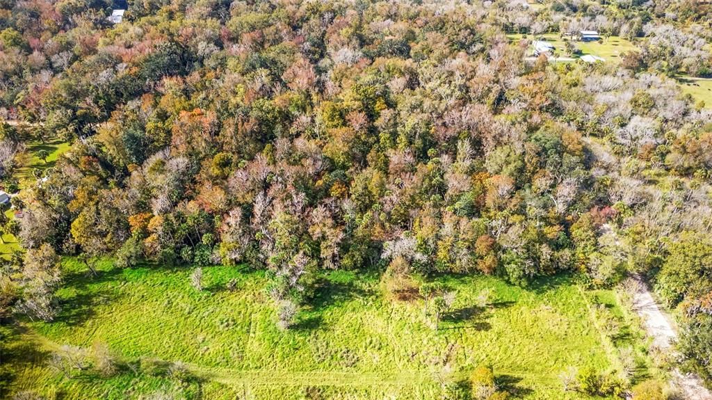 For Sale: $200,000 (5.00 acres)