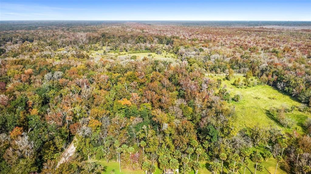 For Sale: $200,000 (5.00 acres)