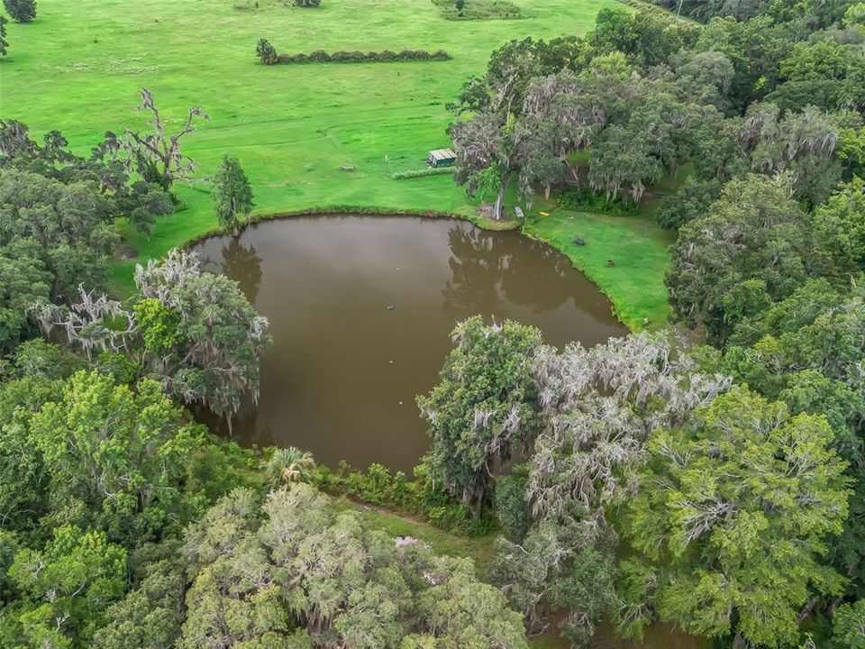 Activo con contrato: $1,200,000 (4 camas, 2 baños, 2758 Pies cuadrados)