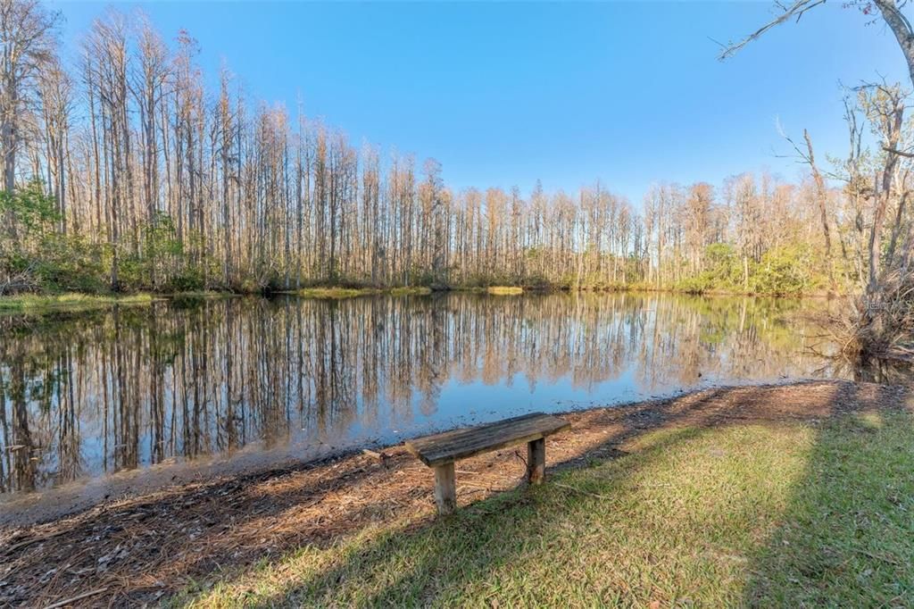 Activo con contrato: $122,500 (3 camas, 2 baños, 1239 Pies cuadrados)