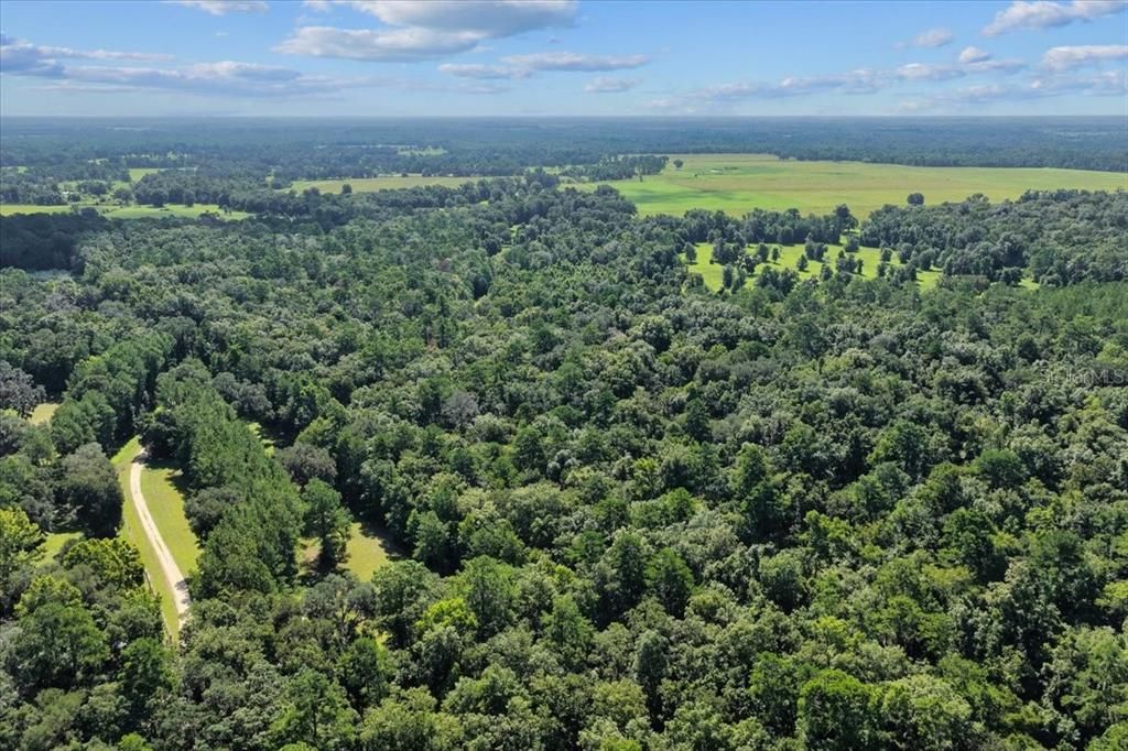 待售: $225,000 (16.97 acres)