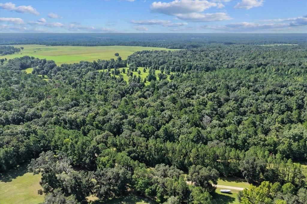 待售: $225,000 (16.97 acres)