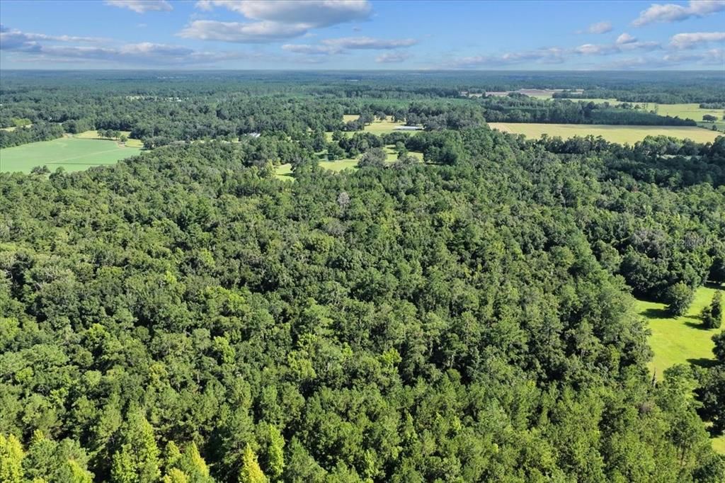 待售: $225,000 (16.97 acres)