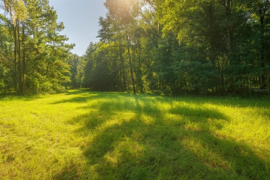 待售: $225,000 (16.97 acres)