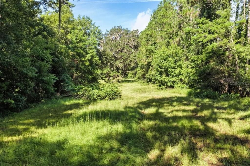 待售: $225,000 (16.97 acres)