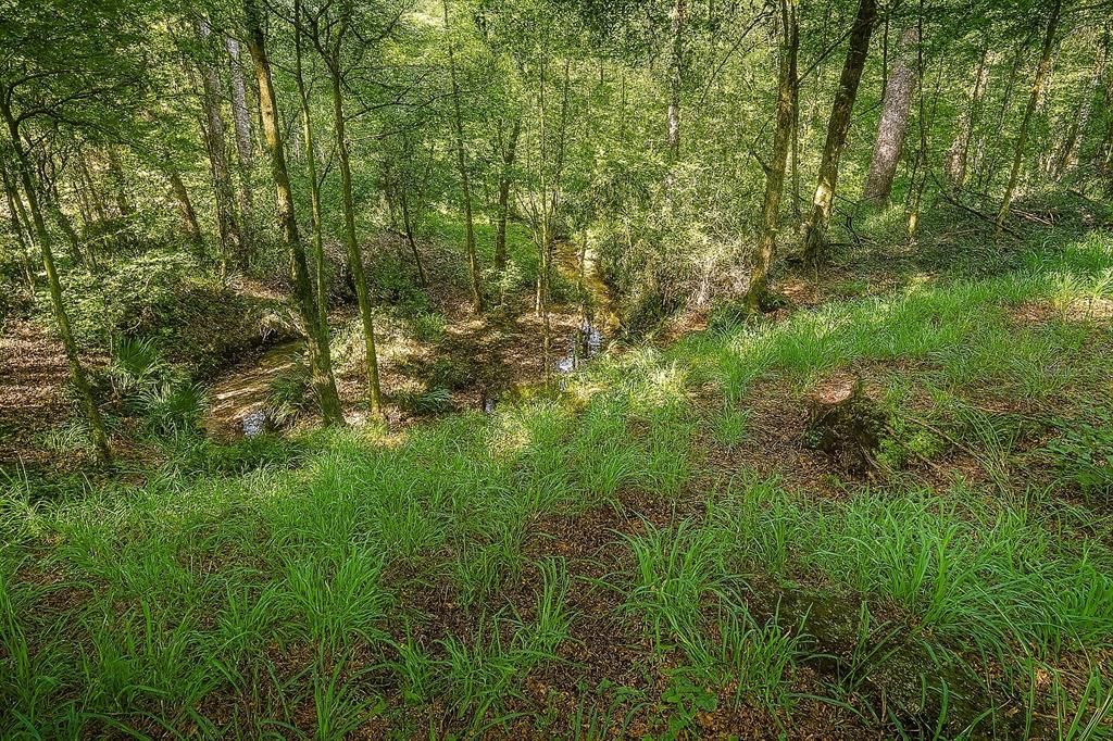 待售: $225,000 (16.97 acres)