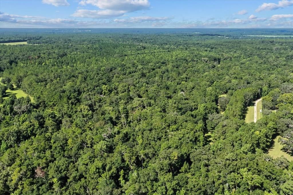 待售: $225,000 (16.97 acres)