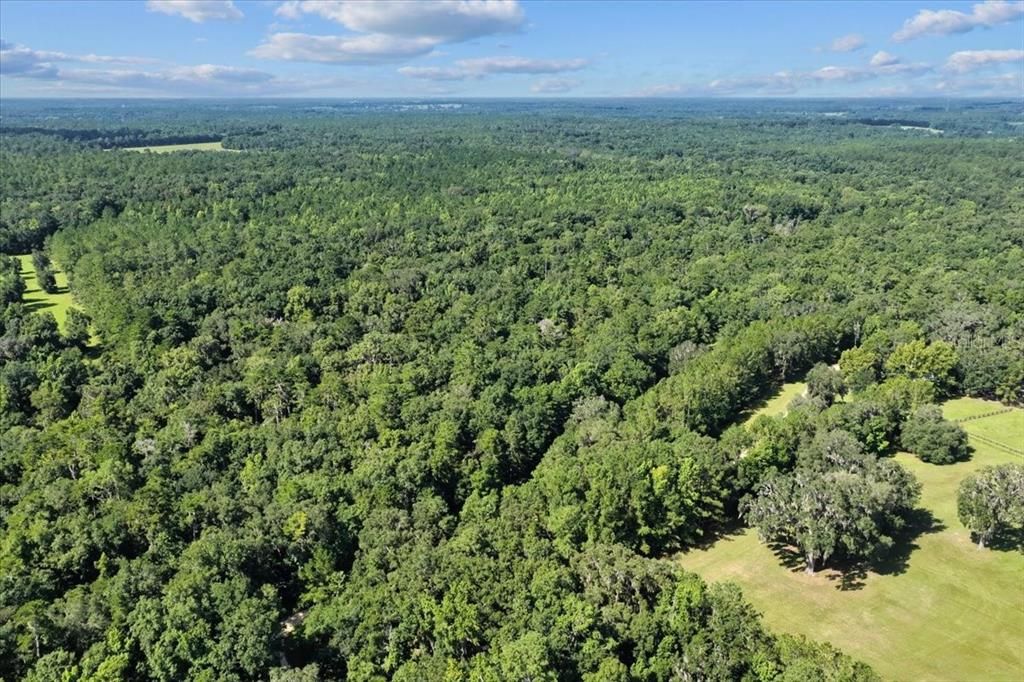 待售: $225,000 (16.97 acres)