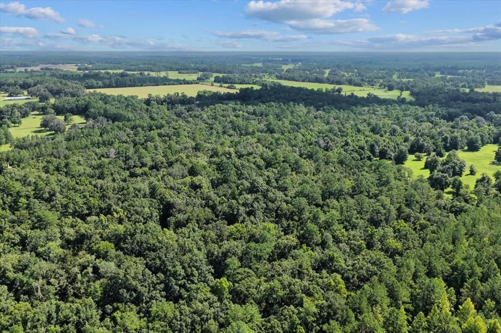 待售: $225,000 (16.97 acres)