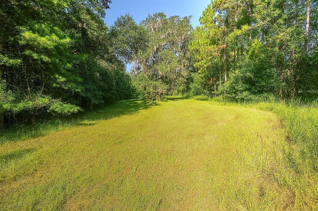 待售: $225,000 (16.97 acres)