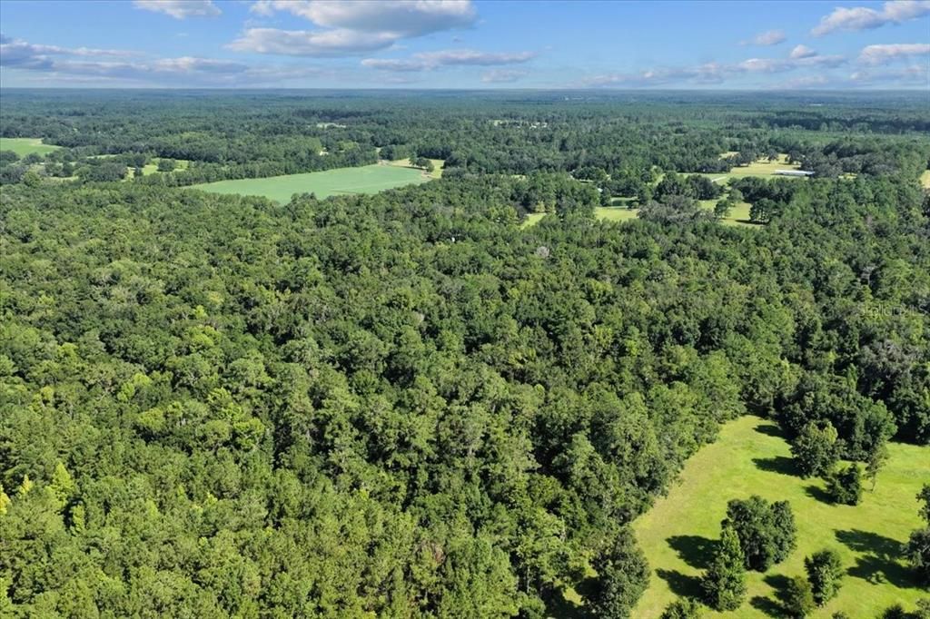 待售: $225,000 (16.97 acres)