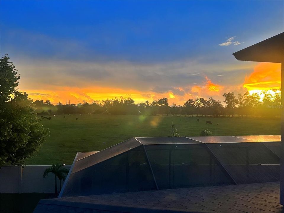 For Sale: $729,000 (5 beds, 3 baths, 3537 Square Feet)