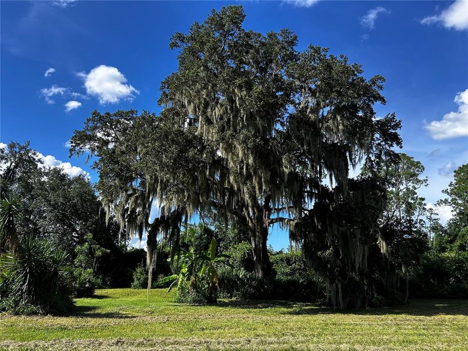 En Venta: $525,000 (9.46 acres)