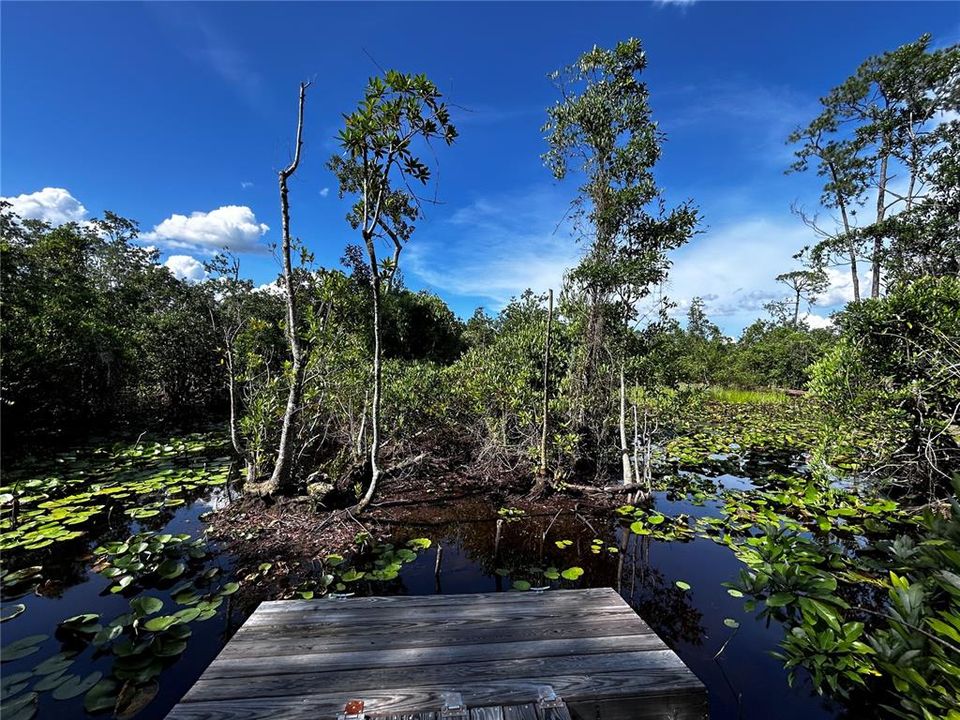 En Venta: $525,000 (9.46 acres)