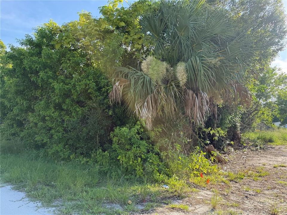 待售: $35,000 (0.13 acres)