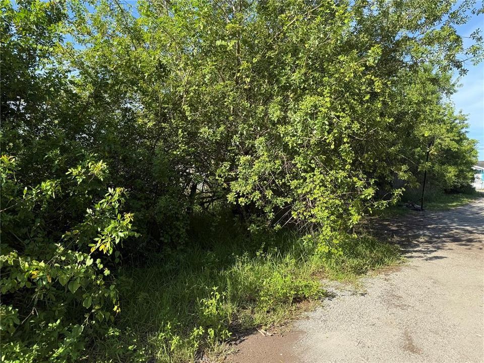 待售: $35,000 (0.13 acres)