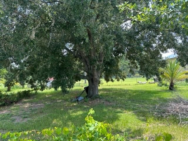 En Venta: $65,000 (0.22 acres)