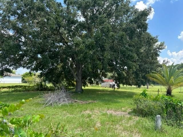 En Venta: $65,000 (0.22 acres)