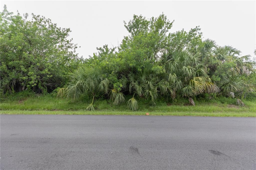 Active With Contract: $15,000 (0.23 acres)