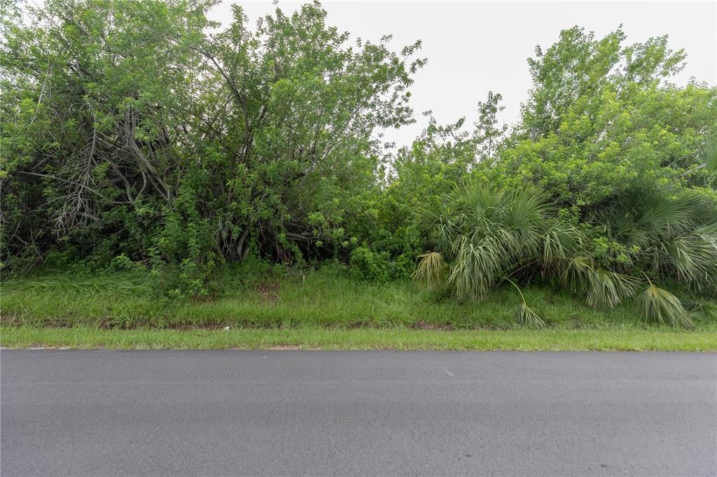 Active With Contract: $15,000 (0.23 acres)