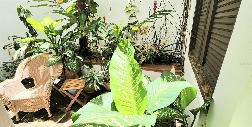 En Venta: $435,000 (1 camas, 1 baños, 488.04 Pies cuadrados)