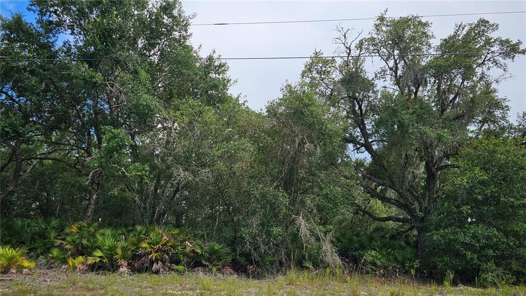 待售: $18,000 (0.50 acres)