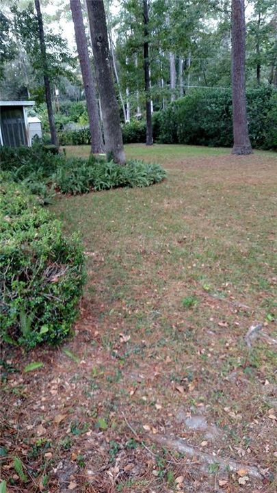 出租: $2,695 (4 贝兹, 2 浴室, 2386 平方英尺)