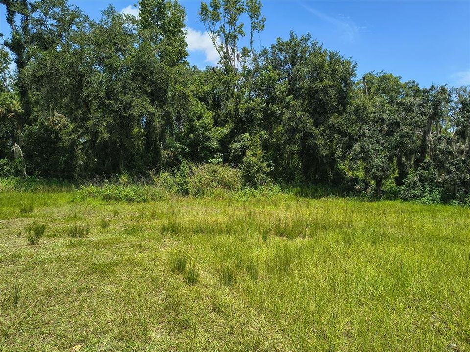 En Venta: $85,000 (1.16 acres)