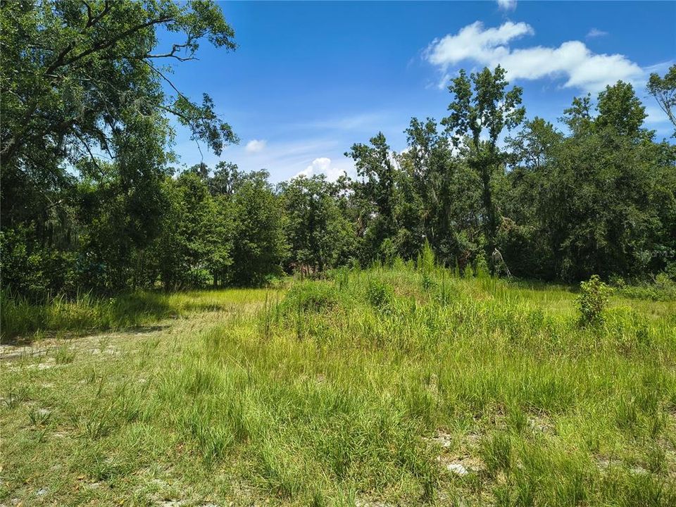 En Venta: $85,000 (1.16 acres)