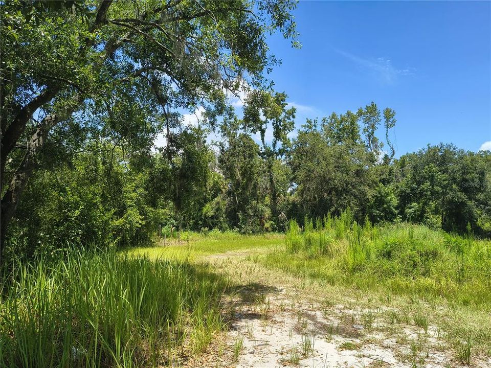 En Venta: $85,000 (1.16 acres)