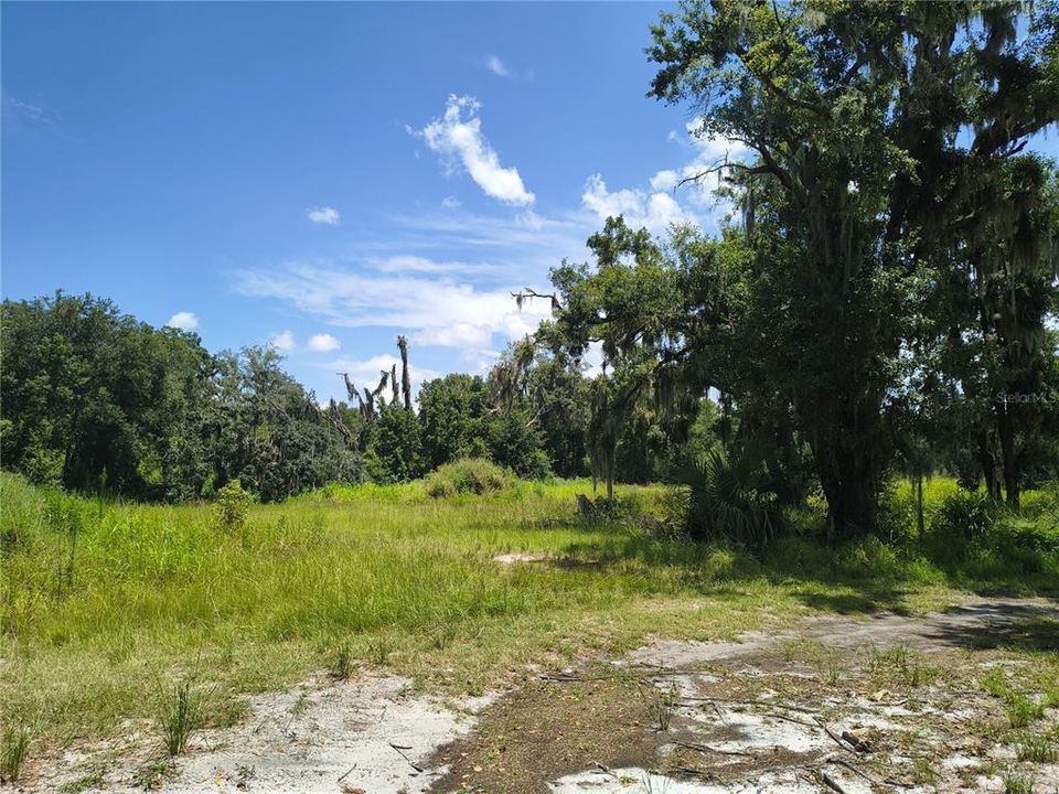 En Venta: $85,000 (1.16 acres)