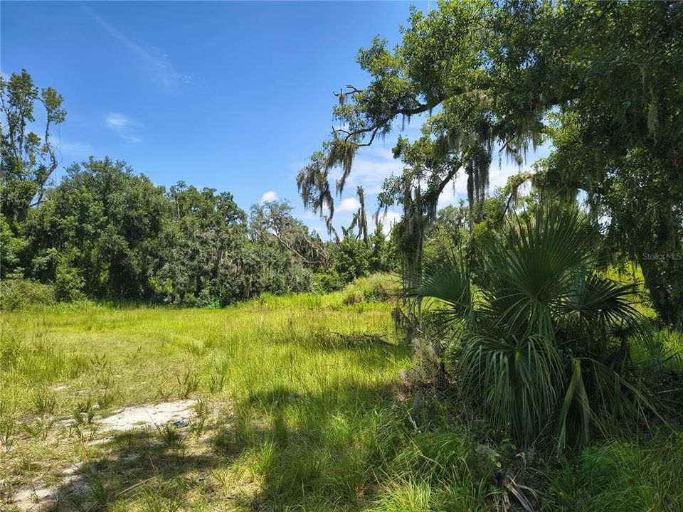 En Venta: $85,000 (1.16 acres)