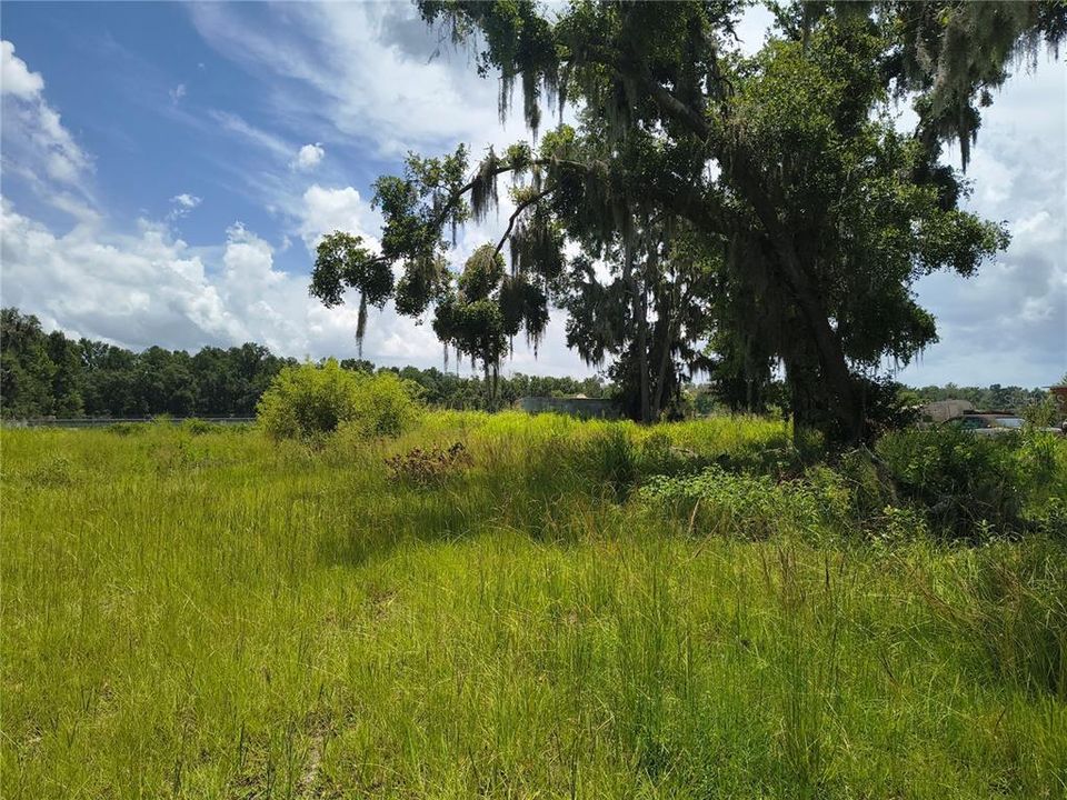 En Venta: $85,000 (1.16 acres)