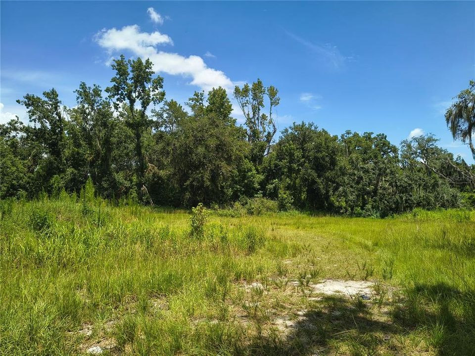 En Venta: $85,000 (1.16 acres)