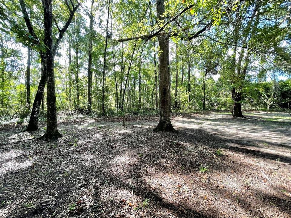 待售: $999,900 (5 贝兹, 3 浴室, 4820 平方英尺)