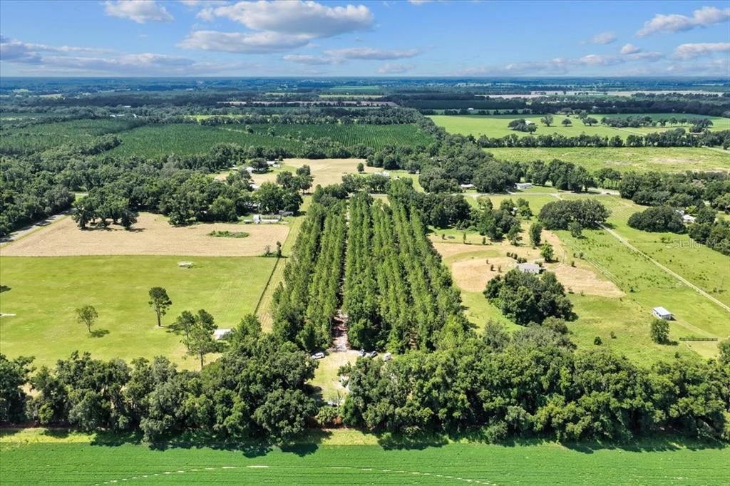 待售: $489,900 (2 贝兹, 2 浴室, 1500 平方英尺)