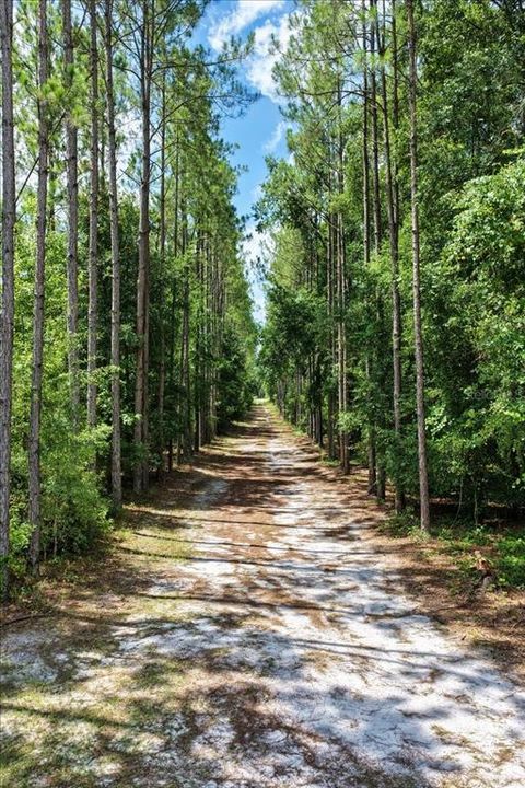 待售: $489,900 (2 贝兹, 2 浴室, 1500 平方英尺)