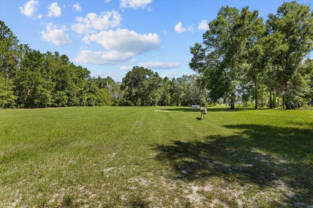 待售: $489,900 (2 贝兹, 2 浴室, 1500 平方英尺)