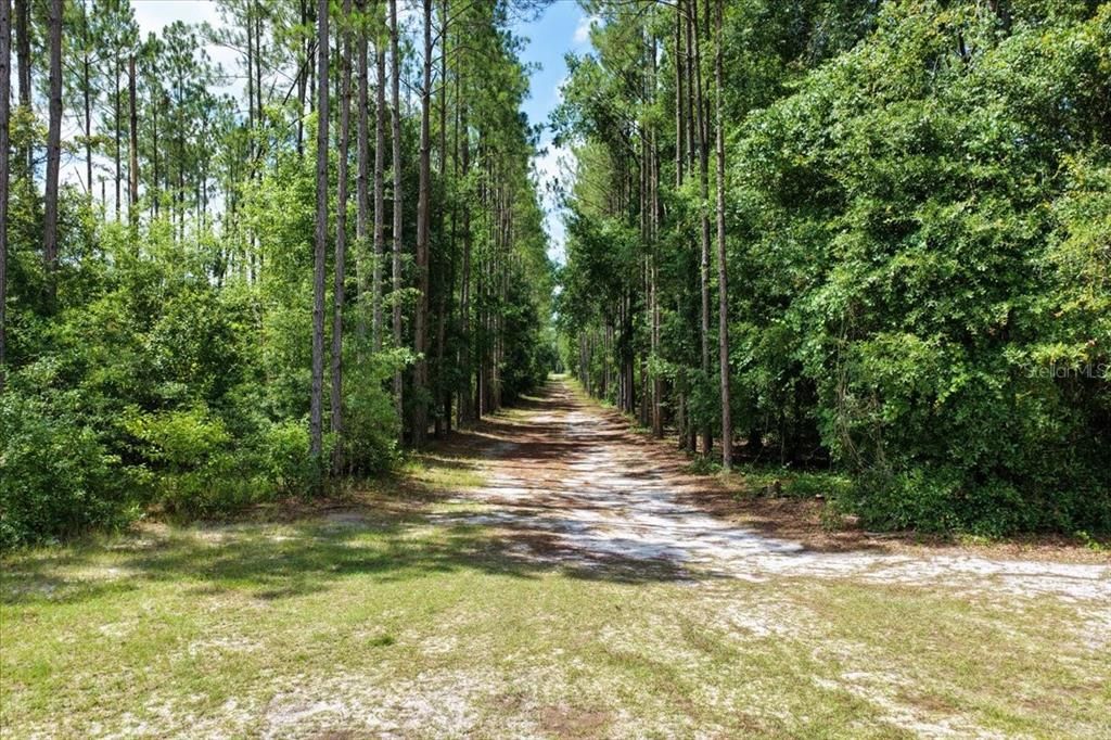 待售: $489,900 (2 贝兹, 2 浴室, 1500 平方英尺)