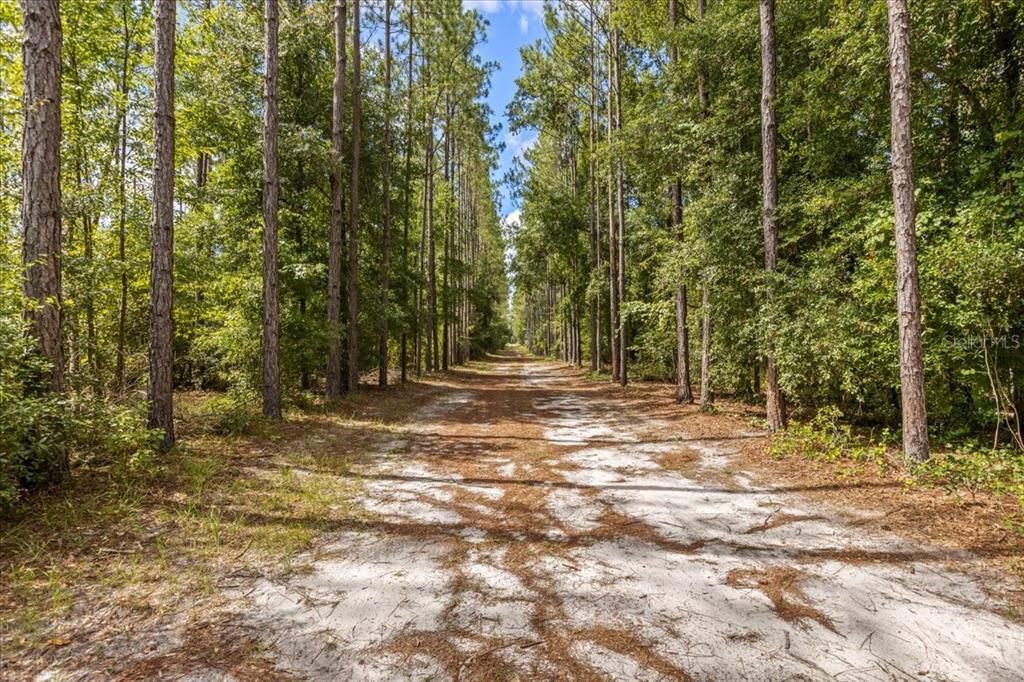 待售: $489,900 (2 贝兹, 2 浴室, 1500 平方英尺)